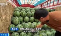 bbr营销吃瓜,揭秘吃瓜群众的营销奥秘