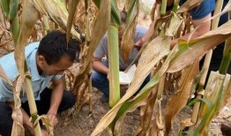 正宁县吃瓜,探寻瓜乡美食之旅