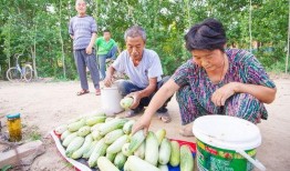 吃瓜刚摘的新瓜图片,新鲜出炉，一起来尝鲜！