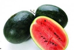 冬天怎么吃紫瓜才好,冬日暖胃紫瓜新食法