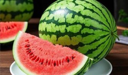 大瓜可以吃吗,揭秘能否安全享用