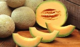 吃瓜哈密瓜小孩,吃瓜小达人哈密瓜的欢乐时光