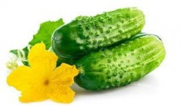 牟老师吃瓜,揭秘娱乐圈幕后故事