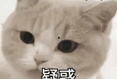 关注我吃大瓜,跟随“关注我吃大瓜”探寻明星幕后故事