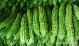 懷孕初吃胜瓜,营养美味两不误的孕期食谱分享