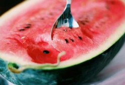 瓜不能挖着吃,品味自然之美——探索瓜类美食文化