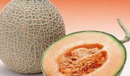吃哈密瓜应该怎么吃