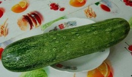 今日吃瓜5吃瓜网址,热门吃瓜网址大起底