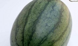 空腹吃梨瓜好吗,空腹食用梨瓜的利弊分析