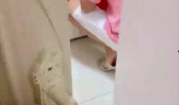 吃瓜短句有哪些句子,盘点那些引人入胜的短句趣事