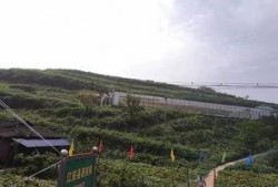 广西大新吃瓜事件,一场引发热议的乡村奇闻