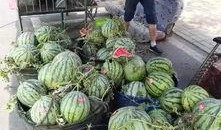 长垣吃瓜事件反转,反转背后的真相揭秘