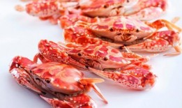 吃完螃蟹可以吃哈密瓜吗,美味搭配的饮食新主张