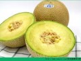 孩子天天吃哈密瓜