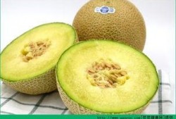 孩子天天吃哈密瓜