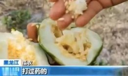 辽源吃瓜爆料视频曝光,揭秘背后惊人真相