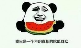 有关吃瓜的热词