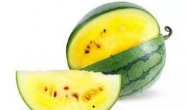 吃瓜状态图,吃瓜群众视角下的娱乐圈风云录