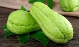 孕妇可以吃桂瓜八月瓜吗,孕妇适宜食用桂瓜与八月瓜的探讨