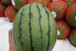 你们聊我吃瓜英语,Unveiling the Buzz: A Gossipy English Journey Through the 'Eat My Watermelon' Phenomenon