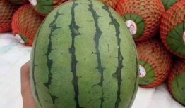 你们聊我吃瓜英语,Unveiling the Buzz: A Gossipy English Journey Through the 'Eat My Watermelon' Phenomenon