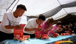 男童吃瓜照片高清图,高清捕捉男童欢乐吃瓜瞬间