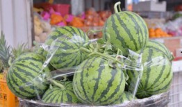 刚看完251吃瓜,网络舆论的狂欢与反思