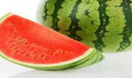 吃生蚝能吃瓜,探寻海鲜与水果的独特搭配