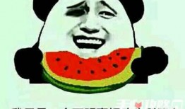 吃瓜幽默的梗,那些让人捧腹的吃瓜幽默瞬间