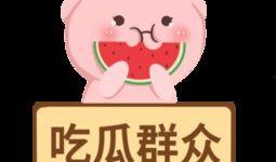 无奈吃瓜模板,揭秘娱乐圈背后的真相与无奈