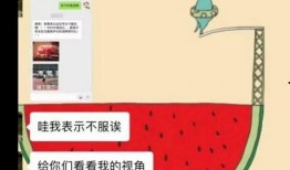 文子吃瓜公众号,揭秘娱乐圈那些不为人知的幕后故事