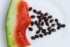 吃瓜找籽,揭秘瓜果中的营养秘密