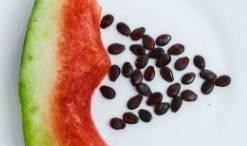 吃瓜找籽,揭秘瓜果中的营养秘密