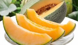 在瓜州吃瓜必须要买瓜吗,吃瓜必备，选购指南揭秘