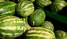 彬州吃瓜事件,一场网络热议背后的真相与反思