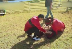 吃瓜掉水里被踩,一场意外的“瓜田”悲剧