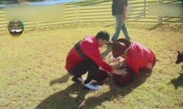 吃瓜掉水里被踩,一场意外的“瓜田”悲剧