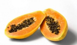 女人吃瓜的功效,女性养生新宠，吃瓜带来的多重益处揭秘