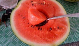 中国网友吃瓜网,揭秘娱乐圈幕后故事，带你领略网络舆论风云