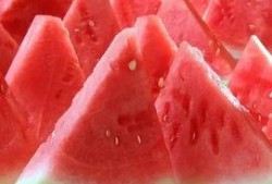 吃瓜刚摘的新瓜图片,新鲜出炉，一起来尝鲜！