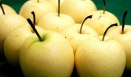 道具吃瓜梨,揭秘神秘道具背后的神奇力量