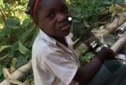 小胖闯非洲吃瓜视频,一场别开生面的吃瓜之旅