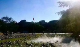 广西大新吃瓜事件,一场引发热议的乡村奇闻