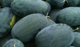 一号吃瓜,揭秘娱乐圈背后的那些事儿