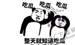 一对一吃瓜是啥意思,网络流行语的趣味解读