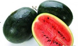 155fun吃瓜热门大瓜黑料,揭秘热门大瓜背后的黑料风云