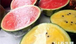 吃瓜和桃寓意,品味生活，寓意吉祥