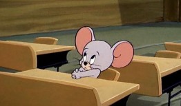 自由吃瓜基地姐姐,揭秘网络红人的幕后生活