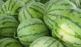 田瓜能熟吃吗,探索田瓜的多样美味