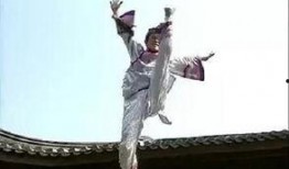 燕子的吃瓜群众,燕子视角下的吃瓜群众众生相